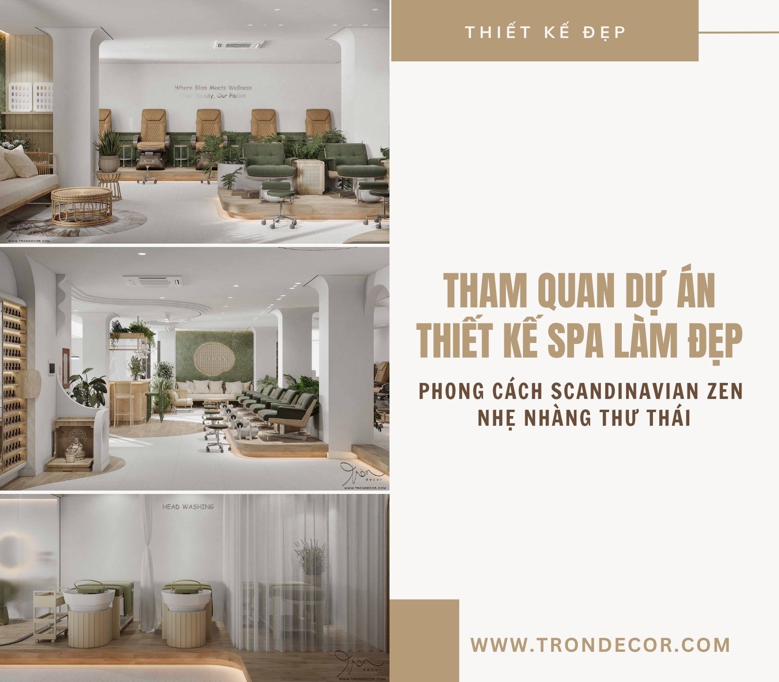 THIẾT KẾ SPA LÀM ĐẸP