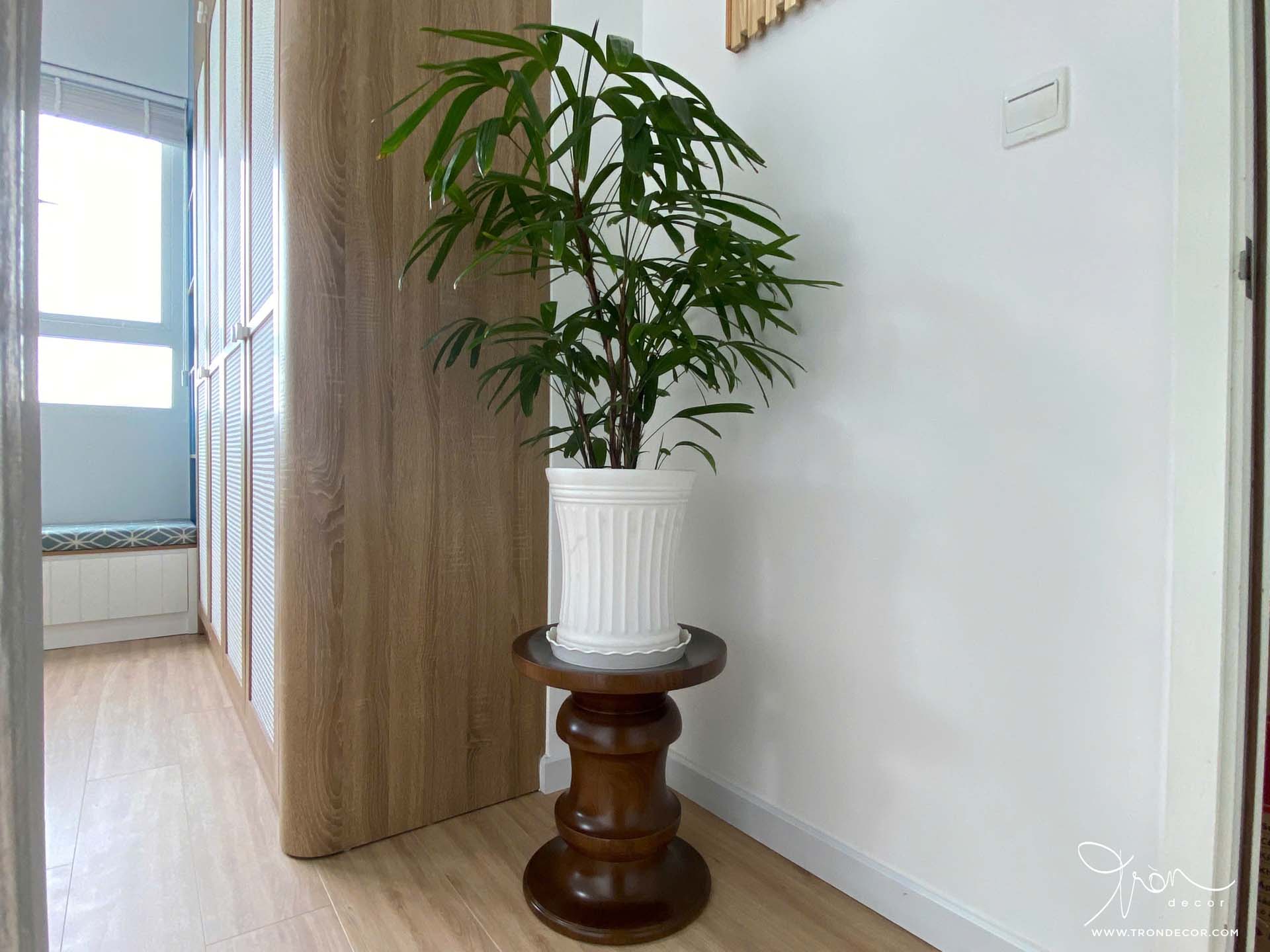 THI CÔNG CĂN HỘ 94M2 - THE PARK PREMIER