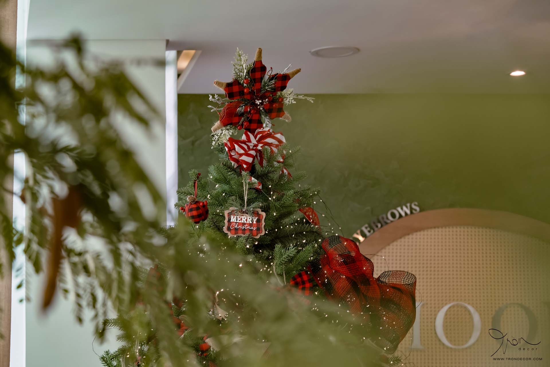 THI CÔNG NỘI THẤT SPA 180M2