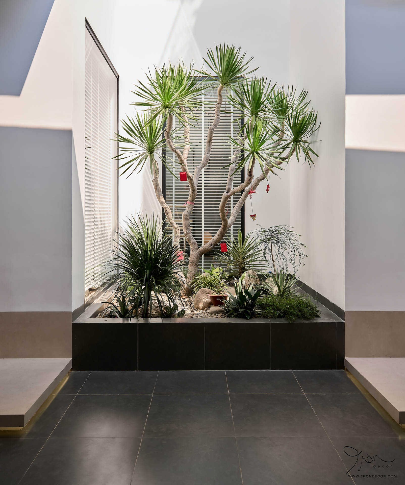 thiết kế nhà phố